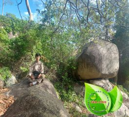 6 lương y chữa bệnh tiểu đường hay của Việt Nam